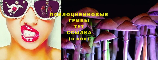 шишки Нязепетровск