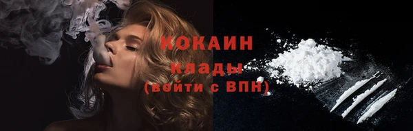шишки Нязепетровск