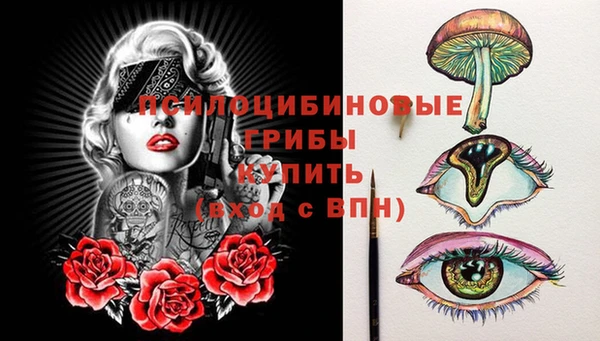 шишки Нязепетровск