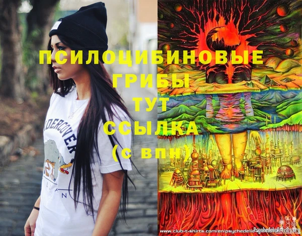 spice Абаза