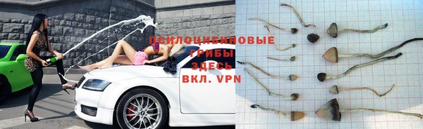 таблы Нягань