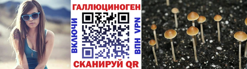 Псилоцибиновые грибы прущие грибы  Усть-Катав 