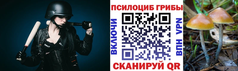 Псилоцибиновые грибы мухоморы Усть-Катав